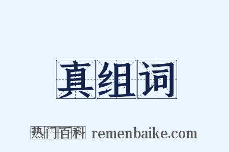真组词是什么意思的图片